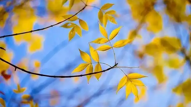 今日秋分