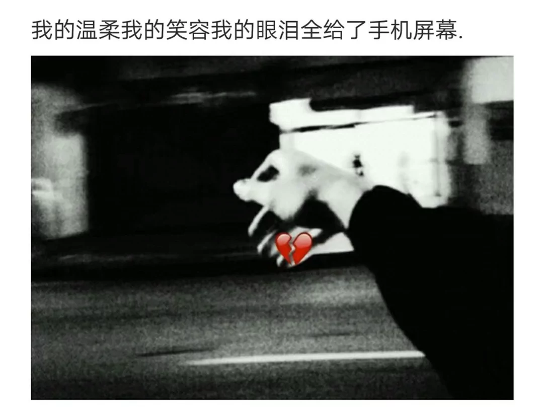 歌曲分享：阿拉斯加海湾 图片1