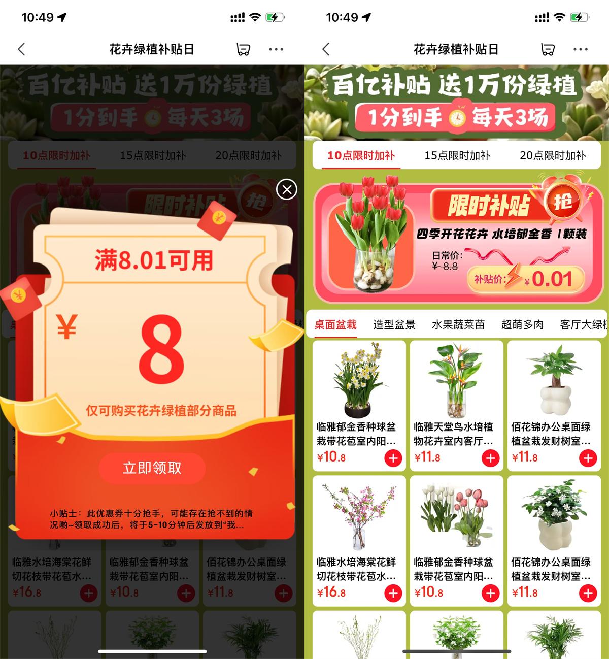 京东每天整点抢0.01绿植包邮 图片1