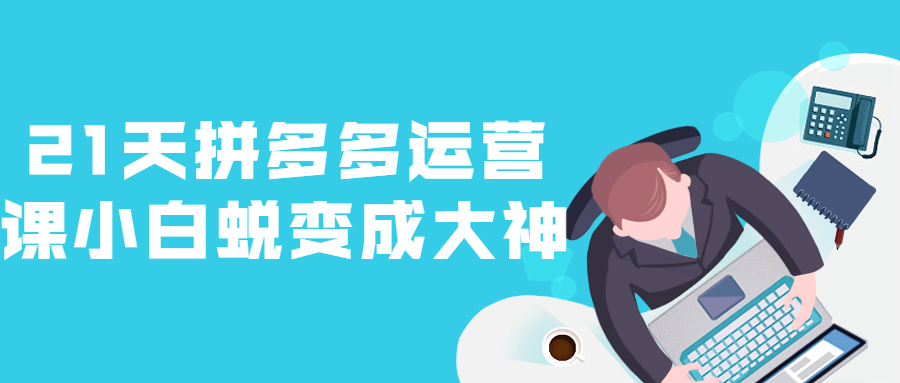 21天拼多多运营课小白蜕变成大神 图片1 21天拼多多运营课小白蜕变成大神 图片1