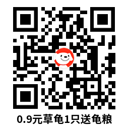 京东京喜0.9亓撸小乌龟包邮 图片5