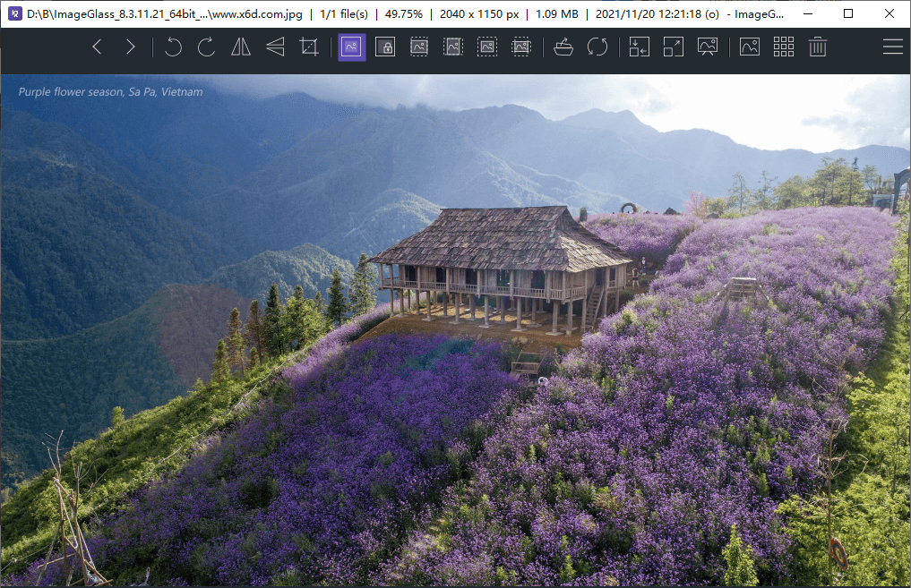 ImageGlass看图神器v9.3.0.514 图片6