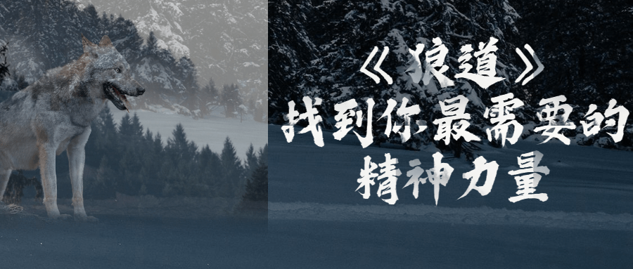 《狼道》找到你最需要的精神力量 图片1
