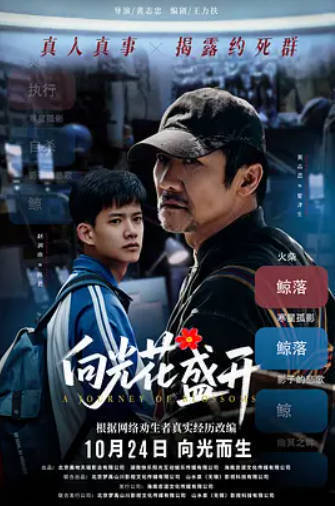 每日影视分享12-12 图片5