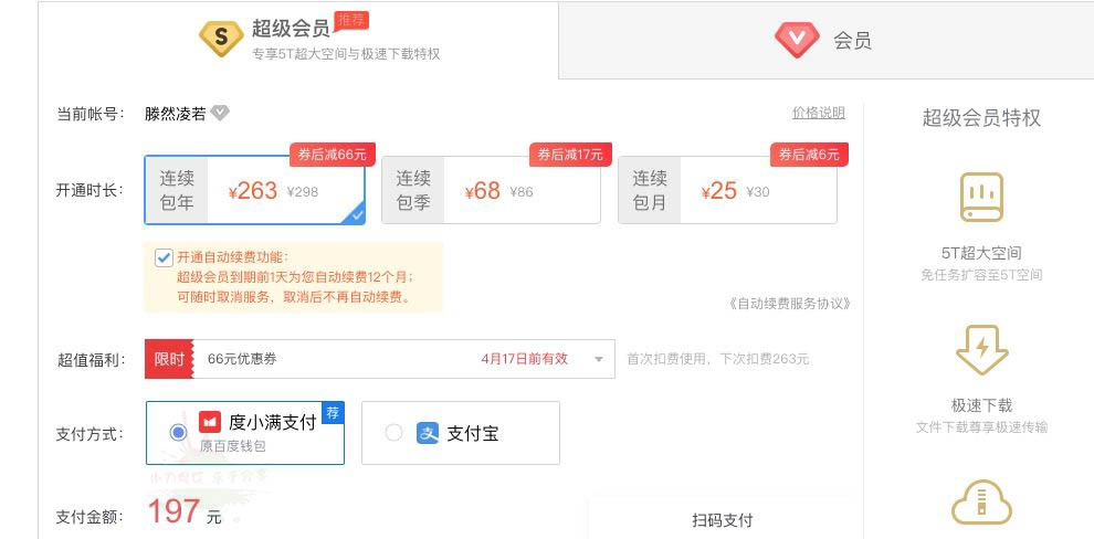 197开1年百度网盘超级会员 图片3