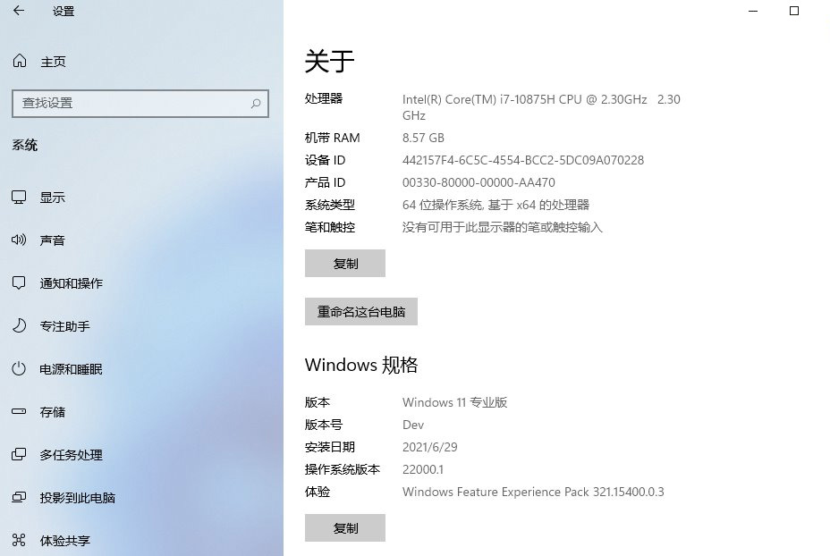 Windows11 v22000.51专业版 图片6