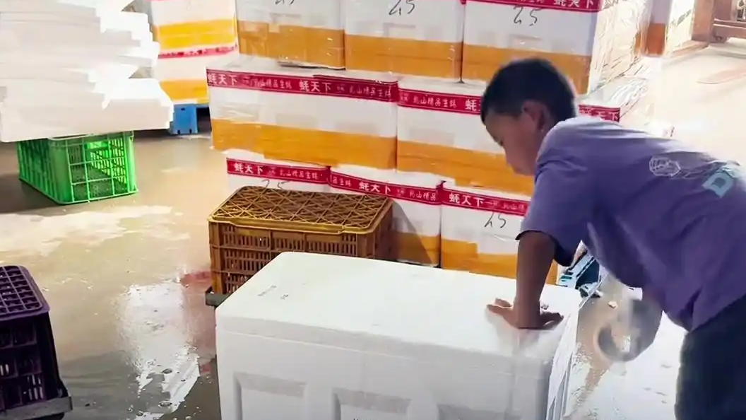 四年级男孩车间熟练打包