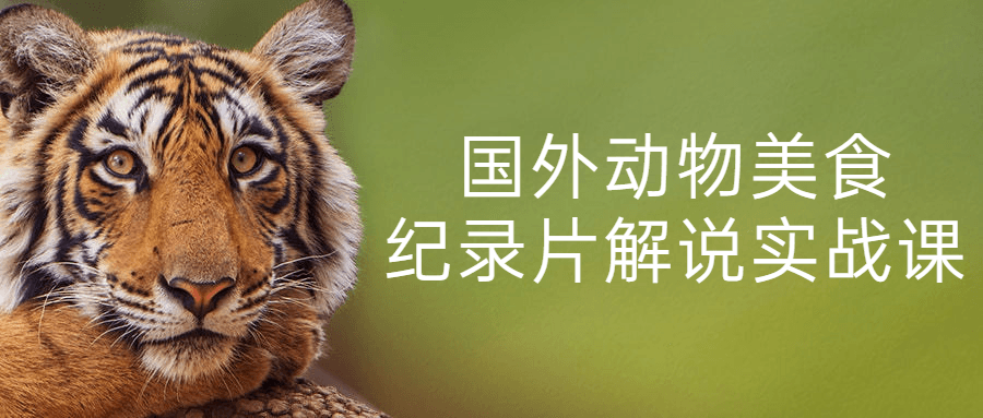 国外动物美食纪录片解说实战课 图片1 国外动物美食纪录片解说实战课 图片1