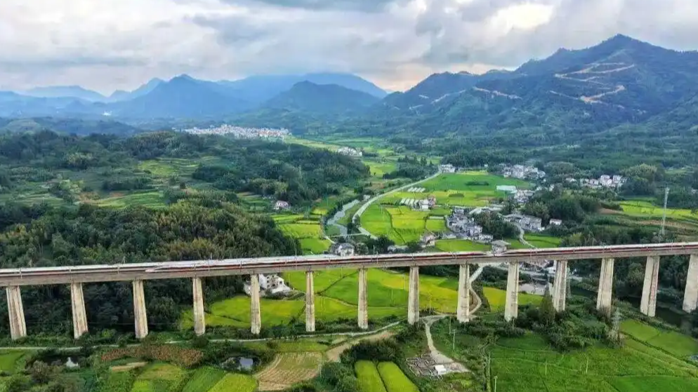 12306：已拒绝出票133.1万张