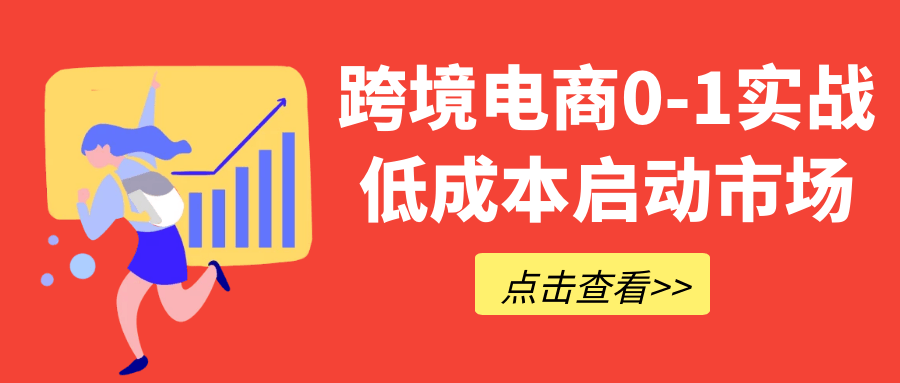 跨境电商0-1实战低成本启动市场 图片1