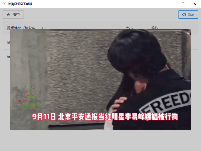 PC微信视频号嗅探下载器 图片12
