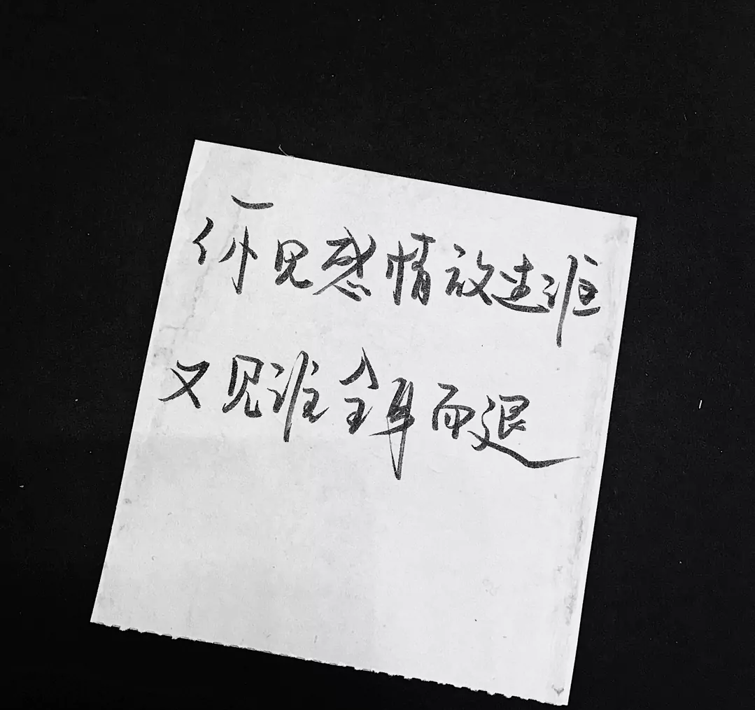 歌曲分享：下辈子如果我还记得你 图片1
