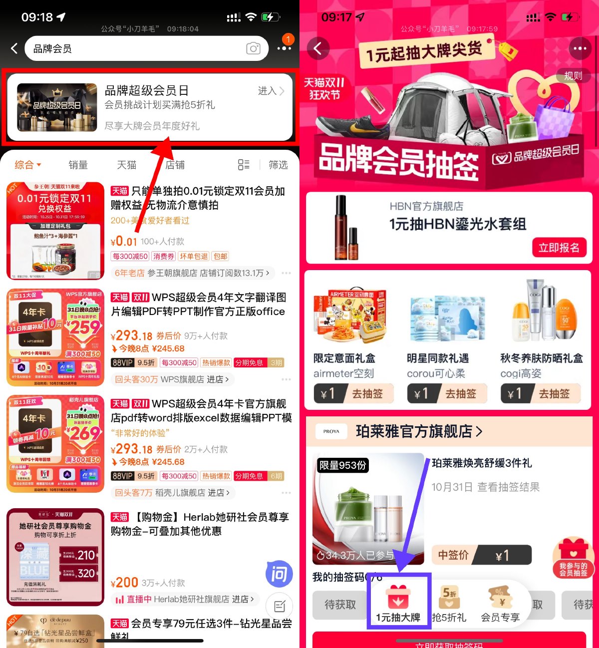 淘宝品牌会员抽签抽1亓实物 图片1