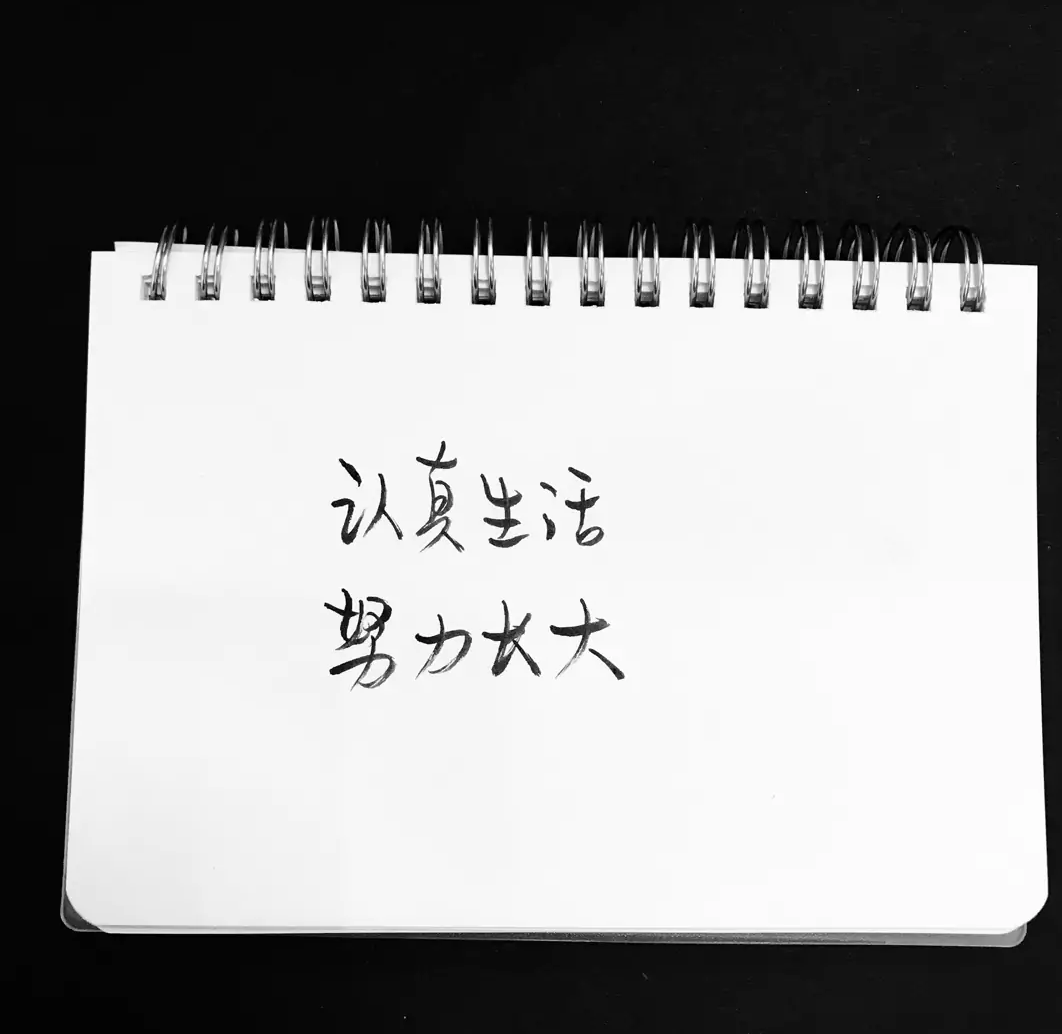 歌曲分享：手一挥 图片1