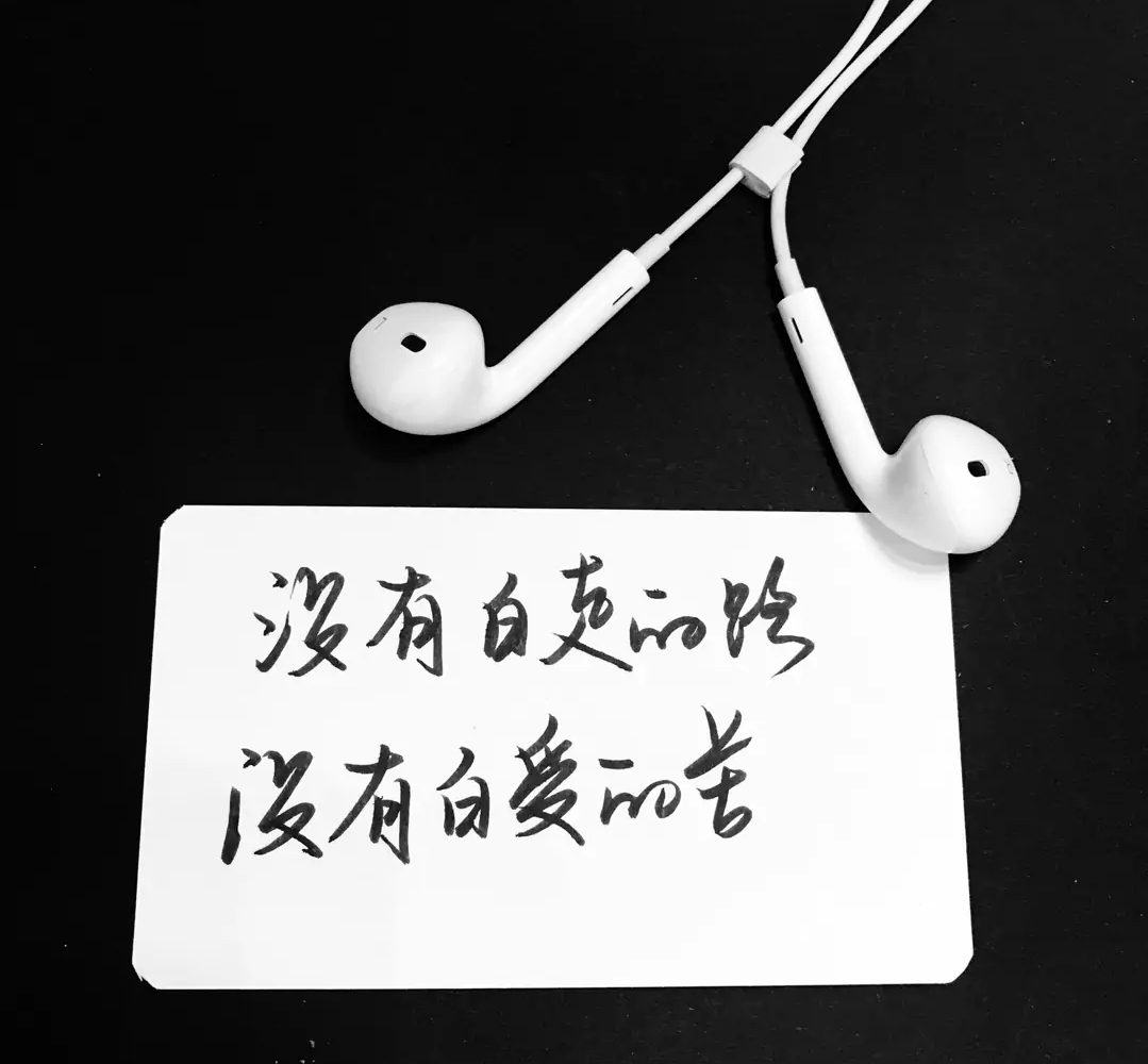 歌曲分享：说起孤独 图片1