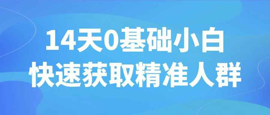 14天0基础小白快速获取精准人群 图片1