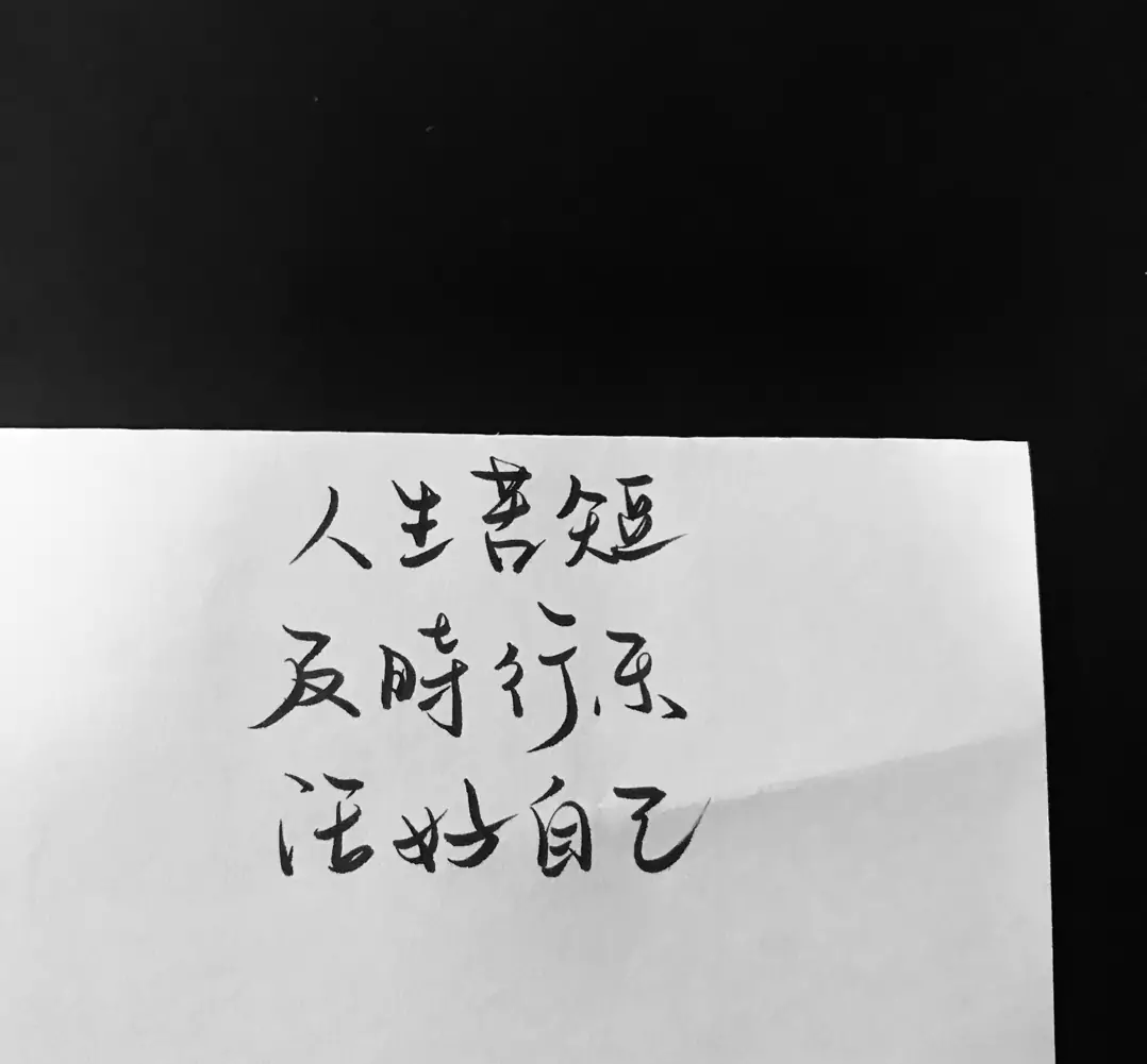 歌曲分享：执此一念 图片1