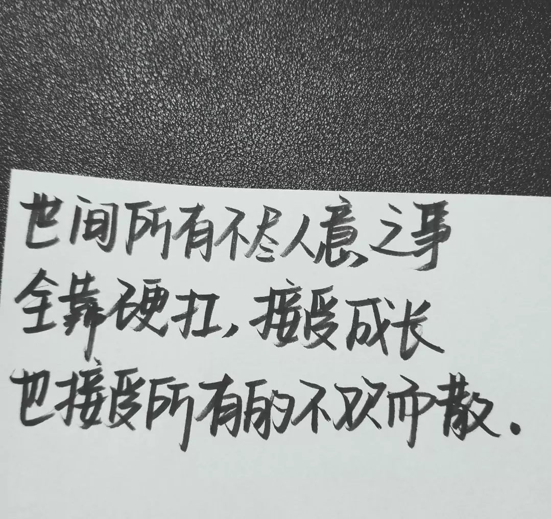 歌曲分享：因你成诗 图片1