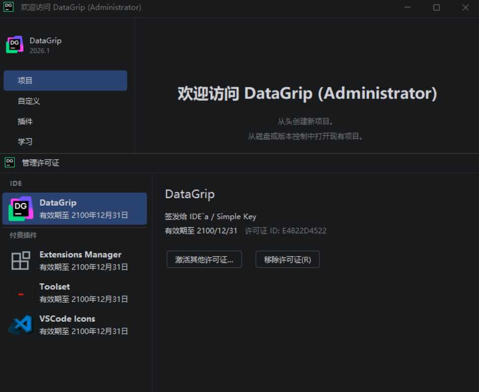 DataGrip v2026.2.0 高级版 图片2
