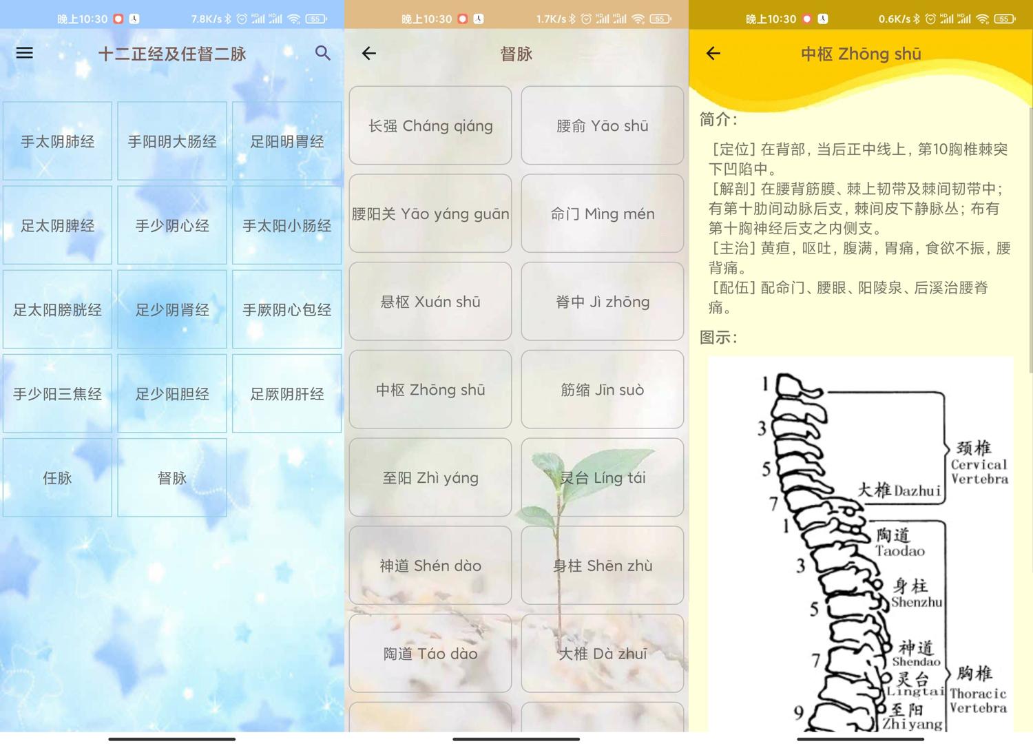 安卓人体穴位图解v3.1.8可离线版 图片2