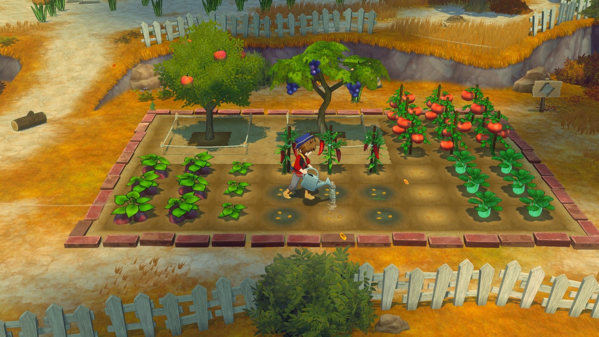 《牧场物语 来吧！风之繁华集市》v1.0.4中文版 图片4
