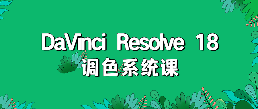 DaVinci Resolve 18调色系统课 图片1 DaVinci Resolve 18调色系统课 图片1