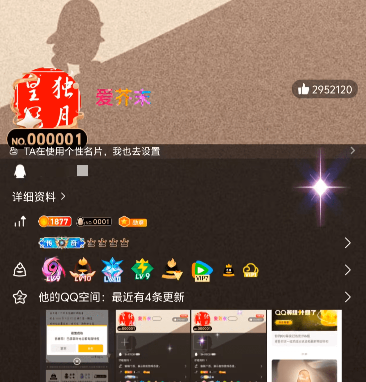 全球首个满级QQ诞生：256级 图片1
