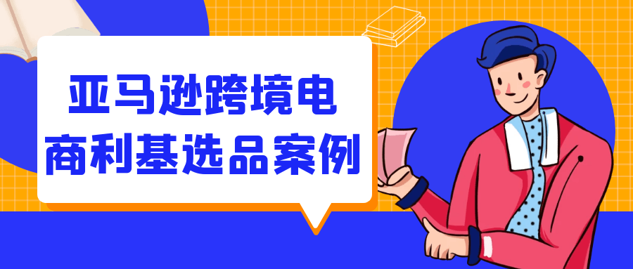 亚马逊跨境电商利基选品案例 图片1 亚马逊跨境电商利基选品案例 图片1