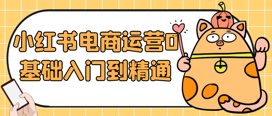 小红书电商运营0基础入门到精通 图片1