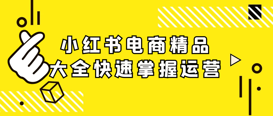 小红书电商精品大全快速掌握运营 图片1