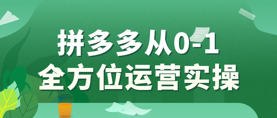 拼多多从0-1全方位运营实操 图片1 拼多多从0-1全方位运营实操 图片1