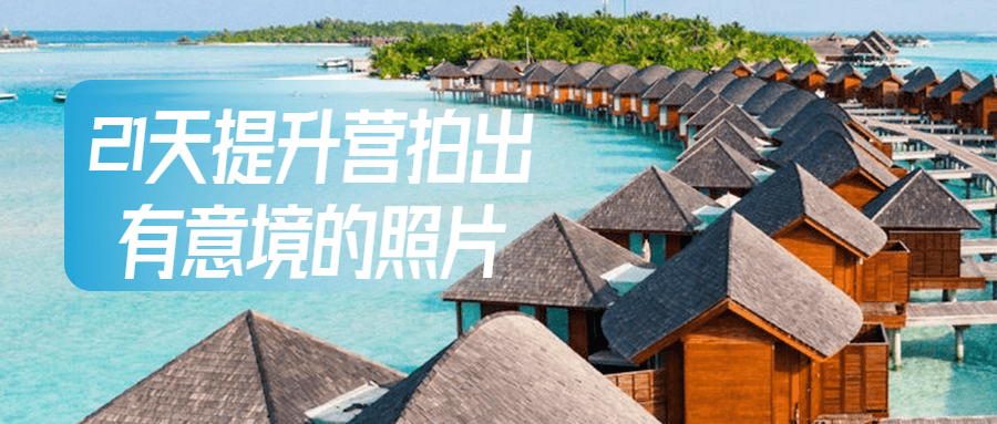 21天提升营拍出有意境的照片 图片1