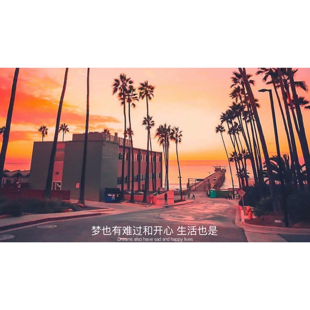 歌曲分享：孤 图片1