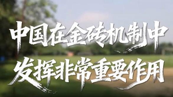 中国在金砖机制中发挥非常重要作用