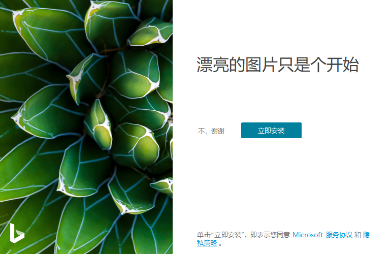 Bing Wallpaper v2.0.1.8中文版 图片2