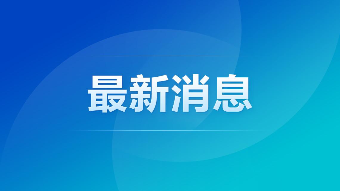 莱巴金娜首夺美网冠军